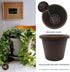 The HC Companies 7 inch Round Classic Planter - Plastic Plant Pot for Indoor Outdoor Plants Flowers Herbs, Chocolate...