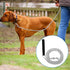 Chain Heavy Duty Metal Dog Leash 6FT Stainless Steel Cuban Link Chain Labor Chew Proof Pet Leash Chain with Soft Padded Handle for Medium Big Dogs...