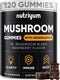 Mushroom Gummies 10 Blend 120 pcs - Lions Mane, Ashwagandha, Turkey Tail, Cordyceps, Chaga, Reishi Mushroom Complex - Mushroom Supplement for Immu...