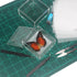 Insect Specimen Tools Kit Insect Display Case Insect Specimen Tools Insect Pins Insect Pinning Board Wings Pressing Paper Insect Collection Tools ...