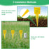 10PCS Rain Gauges, 1.5" Sprinkler Gauge for Lawn Water Gauge with Wide Mouth Sprinkler Rain Gauge, Transparent Outdoor Water Measuring Tool for Ac...