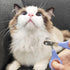 Pet Nail Clippers, Circular Cut Hole Cat Nail Clippers and Trimmers Save Effort Stainless Steel 2mm Conical Hole Claw Trimmer for Tiny Dog Cat Bun...