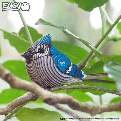 Eugy Blue Jay 3D Puzzle, 26 Piece Eco-Friendly Educational Toy Puzzles for Boys, Girls & Kids Ages 6+...