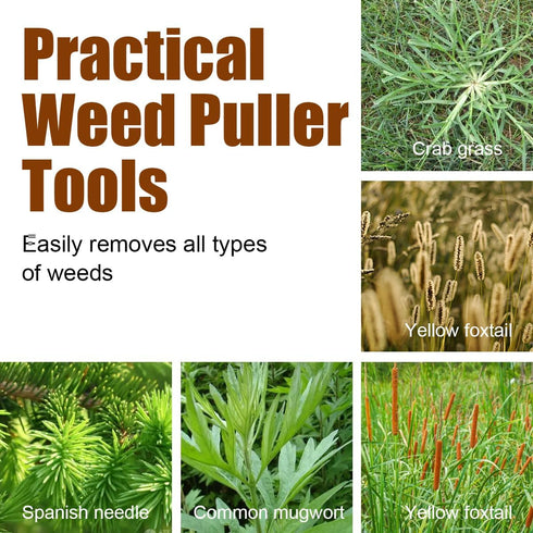 Weeder - Manual Weed Puller Tool, Uprooting Weeding Remover Tool, 4-Claw Steel Head Hand Garden Weeder Tool Easily Remove Weeds for Otted Plants, ...
