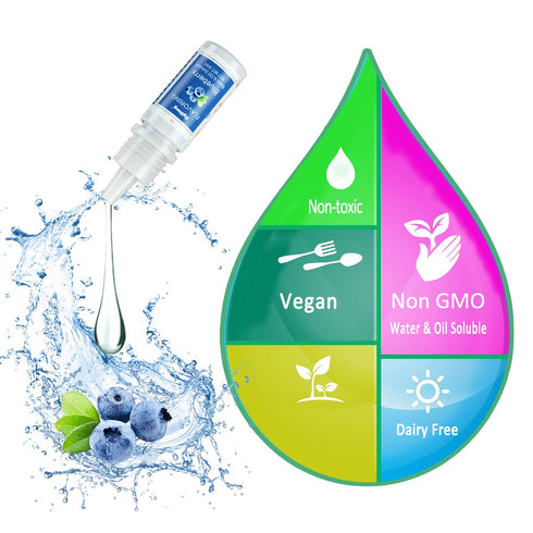 Food Flavoring Oil, 24 Liquid Lip Gloss Flavoring Oil - Concentrated Candy Flavors for Lip Balm, Baking, Cooking, Soap and Slime Making - Water & ...