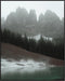Posterizer 1 pcs-beautiful nature scene with evergreen trees and mountains 6-Landscape & Nature Art-Gift for Art Lovers-Decor for Home & Office- u...