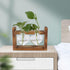 Plant Terrarium with Wooden Stand,Heart Shaped Transparent Glass Vase Flower Pot Hydroponics Plant Propagation Station for Hydroponics Plants Home...