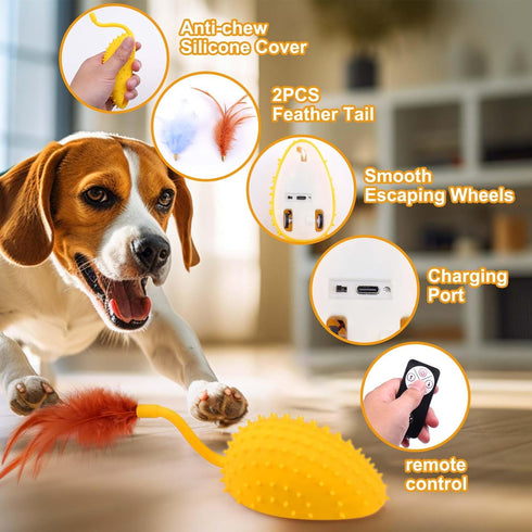 Mity rain Interactive Dog Toys, Remote Control Dog Toy with Feather Tail and Charger, Funny Dog Toys for Small Medium Dogs Outdoor and Indoor, Dog...