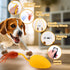 Mity rain Interactive Dog Toys, Remote Control Dog Toy with Feather Tail and Charger, Funny Dog Toys for Small Medium Dogs Outdoor and Indoor, Dog...