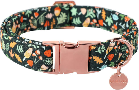 Daisy Fall Cotton Dog Collar with Metal Buckle Gift Autumn Collar for Small Medium Large Girls or Boys Dogs Cute Durable Comfortable Pet Collars...