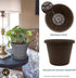The HC Companies 6 Inch Round Prima Planter - Small Plastic Plant Pot with Rolled Rim for Indoor Outdoor Plants Flowers Herbs, Chocolate...