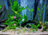 NGe 10inches Aquarium Bubble Wall Air Stone Bar Tube with Fish Tank Suction Cup, Blue...