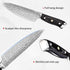 Chef Knife 8-Inch Kitchen Knife - Professional Sharp High Carbon Stainless Steel Japanese Knife, Cooking Knives with Ergonomic Handle for Man and ...