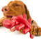 Dog Chew Toys, Interactive Dog Toys for Aggressive Chewers, Indestructible Dog Toys for Medium/Large Dogs, Great Gift for Pet...