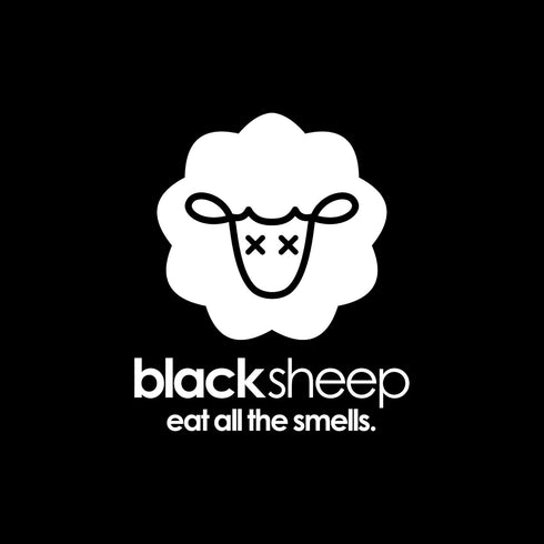 Black Sheep - Bamboo Charcoal Natural Air Purifying Bag - Eliminates Odors in Homes, Cars, Bags, Shoes, Closets & More - 200g (4)...