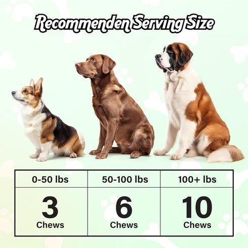 Probiotics for Dogs, Gut H??lth and Digestive Support...