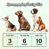 Probiotics for Dogs, Gut H??lth and Digestive Support...