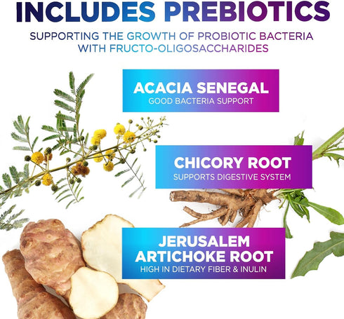 Daily Probiotics and Prebiotics 60 Billion CFU - 10 Strains + 4 Prebiotics, Supports Gut Health, Constipation, Gas & Bloating, Digestive Nutrition...