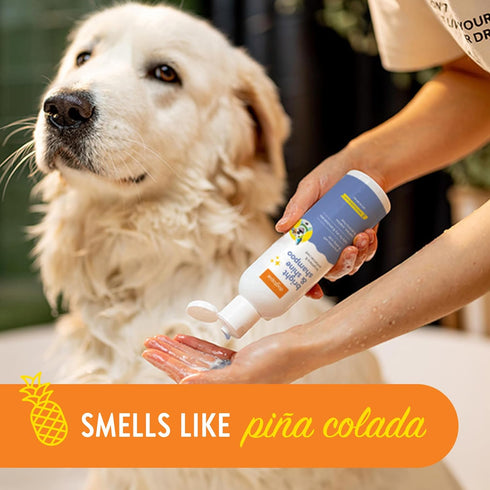 Bright and Shine Shampoo – 16oz Piña Colada Scent | Restoring Shampoo Rich with Soothing Colloidal Oatmeal | Tearless and Alcohol-Free for Everyda...