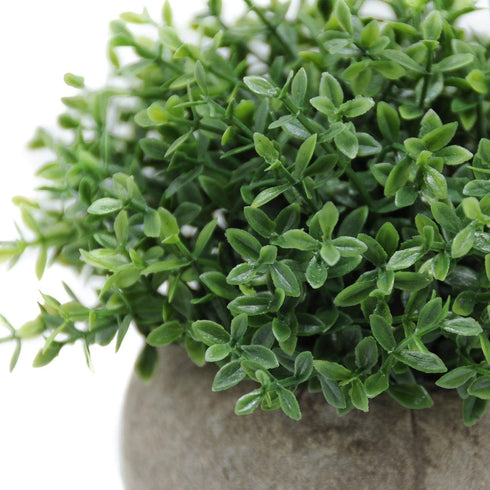 Velener Mini Sage Green Potted Boxwood Topiary Artificial Plants for Home Decor Indoor, Farmhouse House Plant Office Small Desk Shelf Apartment Co...