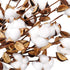 Ageomet 4pcs Cotton Stems 21" Artificial Cotton Flowers, Total 24 Balls Dried Floral Stems Cotton Decor for Farmhouse Decoration, Home Wedding Dec...