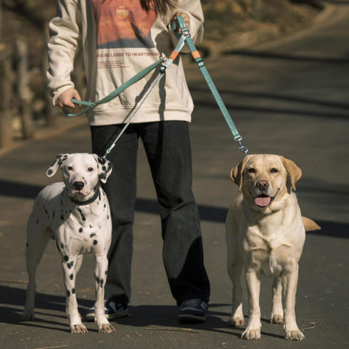 HOWGO Double Dog Leash, No Tangle Dual Dog Leash, Super Lightweight Adjustable Dual Padded Handles, Multiple Leash for 2 Dogs, Double Clip Dog Lea...
