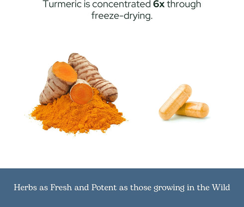 ECLECTIC INSTITUTE Raw Freeze-Dried Turmeric | US Grown | Vegetarian, Non-GMO, Gluten Free | 90 CT (395 mg)...