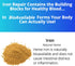 Iron Repair Simply Natural Iron Supplement, Best Absorption & Gentle on Stomach, Monash Low FODMAP, Raise Hemoglobin & Ferritin Iron Pills for Wom...