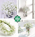 10Pcs 30 Bunches White Babys Breath Artificial Flowers Real Touch Fake Gypsophila Faux Plants for Wedding Garland Wreath Girl Crown Flower bonquet...