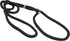 Dog Show Lead Braided Tubular Nylon 52" Long (Medium: diam 5/16"(8mm), Black)...