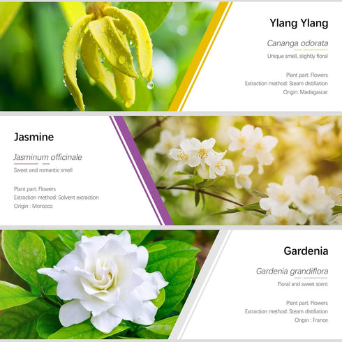 Essential Oils Set, ESSLUX Floral Essential Oils for Diffuser, Massage & Candle Making, Natural & Long-Lasting Scents - Rose, Jasmine, Gardenia, Y...