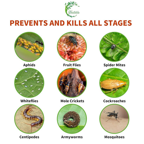 Natural Insecticide Concentrate for Plants, Organic Safe Insect Killer with Natural Clove Oil, Soybean Oil and Rosemary Oil, Lawn Insecticide for ...