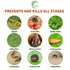 Natural Insecticide Concentrate for Plants, Organic Safe Insect Killer with Natural Clove Oil, Soybean Oil and Rosemary Oil, Lawn Insecticide for ...