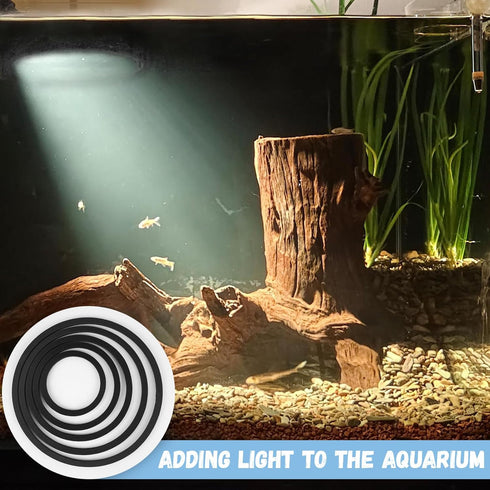 5 Pcs Aquarium Floating Plant Corral,5 Sizes of Aquarium Floating Plant Ring, Aquarium Feeding Ring for Intercepts Floating Plants, Fish Feeding R...