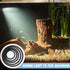 5 Pcs Aquarium Floating Plant Corral,5 Sizes of Aquarium Floating Plant Ring, Aquarium Feeding Ring for Intercepts Floating Plants, Fish Feeding R...