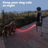LED Dog Leash Light Up Dog Leash 4 Feet Micro USB Rechargeable Nylon Webbing Glow Safety Standard Dog Leash for Dogs by Bpawser (Red)...