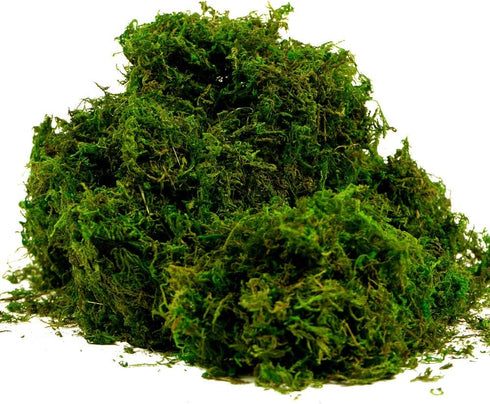 BYHER Artificial Moss Fake Green Grass for Centerpieces Home Kitchen Garden Decor (8OZ, Fresh)...