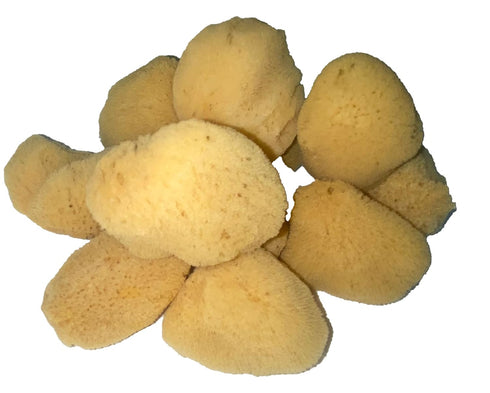 Soft Natural 6 Silk Sponges 1.5"-3" Cosmetic Makeup Application Removal Face Eye Nail Cleaning Like Cotton Balls Awesome Aquatic Creating The Perf...