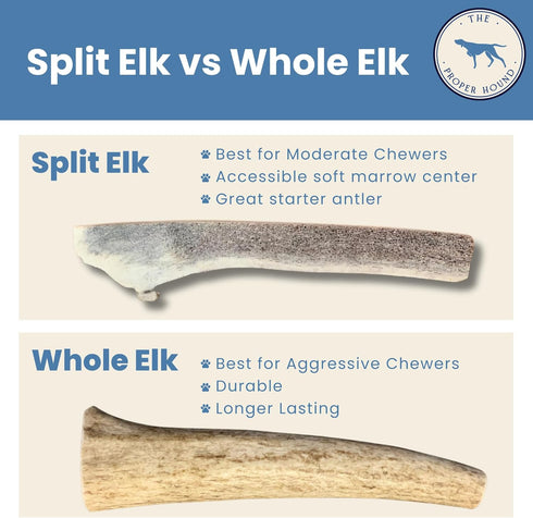 Split Elk Antler Dog Chew - Premium Elk Antlers - Medium - Best for Dogs Under 40 pounds...