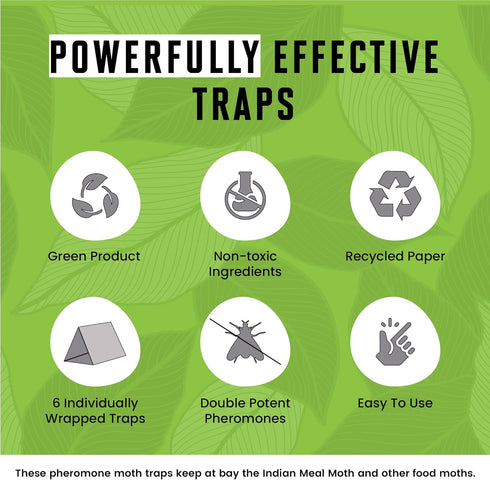 Pantry Moth Glue Traps for House Pantry, Non-Toxic Pantry Moth Killer for Food and Cupboard Moths, Pantry Moth Trap, Pantry Moth Traps with Pherom...