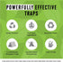 Pantry Moth Glue Traps for House Pantry, Non-Toxic Pantry Moth Killer for Food and Cupboard Moths, Pantry Moth Trap, Pantry Moth Traps with Pherom...