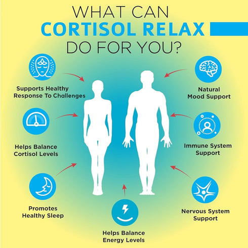 OmniBiotics Cortisol Relax Supplement with Ashwagandha, L-Theanine - Natural Cortisol Support - 60 Vegan Capsules...