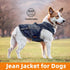 Dog Jeans Jacket Mommy's Boy Denim Pet Coat for Puppy Small Dogs Classic Overalls Male Cat Costumes Washed Vest Clothes Outfit T-Shirts Chihuahua,...