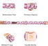 Elegant little tail Dog Collar, Watermelon Print Pet Collar Summer Dog Collar Pet Collar Dog Cotton Durable Dog Collar Metal Buckle Collar for Med...