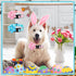 6 Pcs Easter Day Dog Collar with Flower Easter Day Adjustable Holiday Dog Collars Safety Buckle Nylon Dog Collar for Female Male Small Medium Larg...