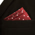 S&W SHLAX&WING Tie Sets for Men Wedding Necktie Red Burgundy Dot Extra Long Matching Pocket Square...