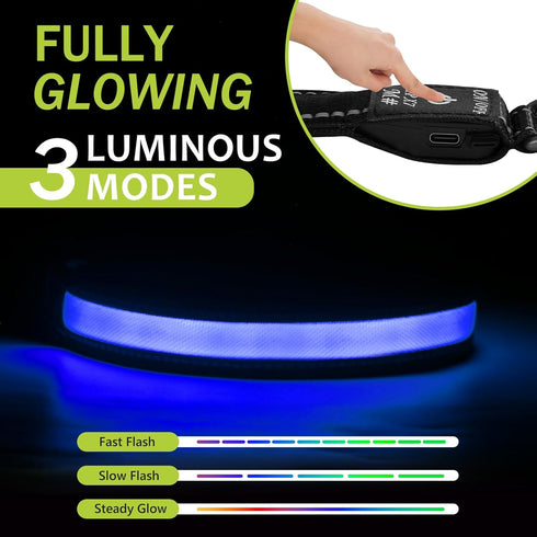 Led Glowing Dog Collars, Lighted Dog Collars for Night, Dog Glow Collar Rechargeable, Light Up Dog Collar for Small Dogs (Blue, Pack of 1, S)...