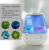 Humidifier Cleaner, Humidifier Cleaning Fish for Humidifiers & Fish Tanks, Purifies Water, Prevents Hard Water Build Up, Eliminates White Dust Odo...