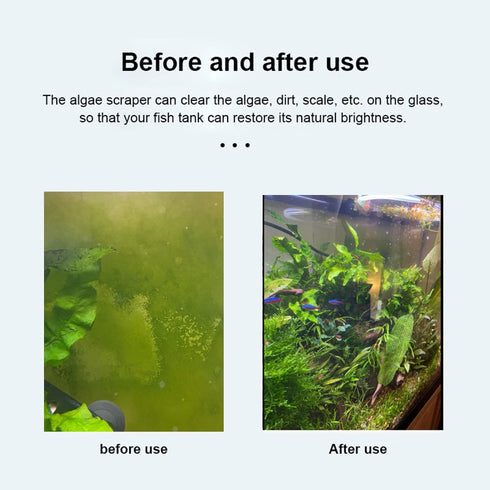 Algae Scraper for Glass Aquarium, Fish Tank Razor Blade Scraper with 10 Replaceable Razor Blades, Essential Aquarium Cleaning Tools. (Silver-25.6 ...