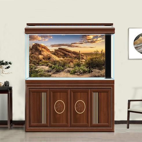 Reptile Habitat Background Blue Sky Sunset Oasis Cactus and Desert Terrarium Background Natural Landscape Tank Backdrop Wallpaper Aquarium Backgro...